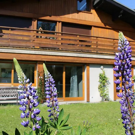Arâches-la-frasse, 5 Pièces, 8 Personnes - Fr-1-572-33 Chalet